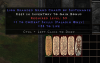 D2r Ladder 5x Pally Combat GCs/30+ Life Package