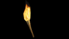 Torch